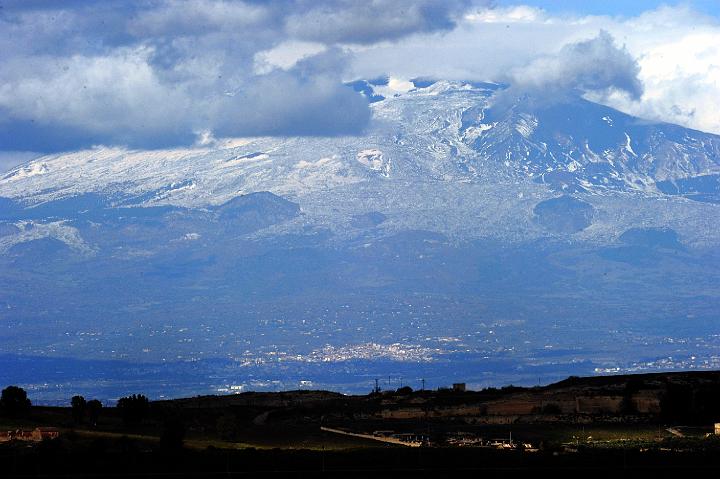 Biviere di Lentini 23.1.2011 (246).jpg